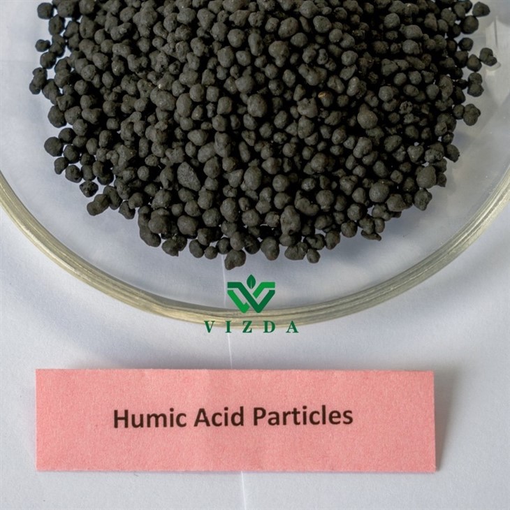 Brown Humic Acid Granular