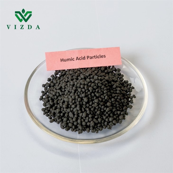 Humic Acid 45% Organic Fertilizer