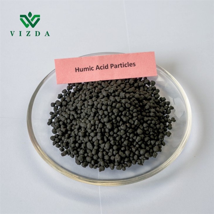 Humic Acid 45% Organic Fertilizer