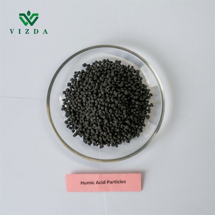 Humic Acid 45% Organic Fertilizer