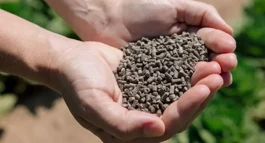 AgroPlantae, Kemin Crop Technologies 포트폴리오 인수
