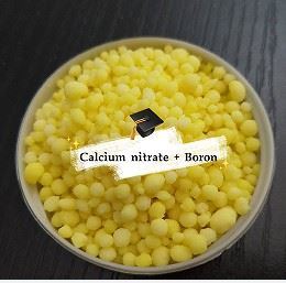 Nitrogenous FertilIzer CAN With Boron