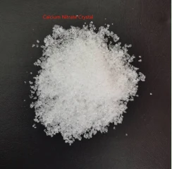 product-244-239